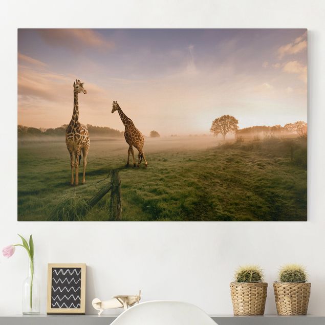 Quadri su tela con giraffe Giraffe surreali