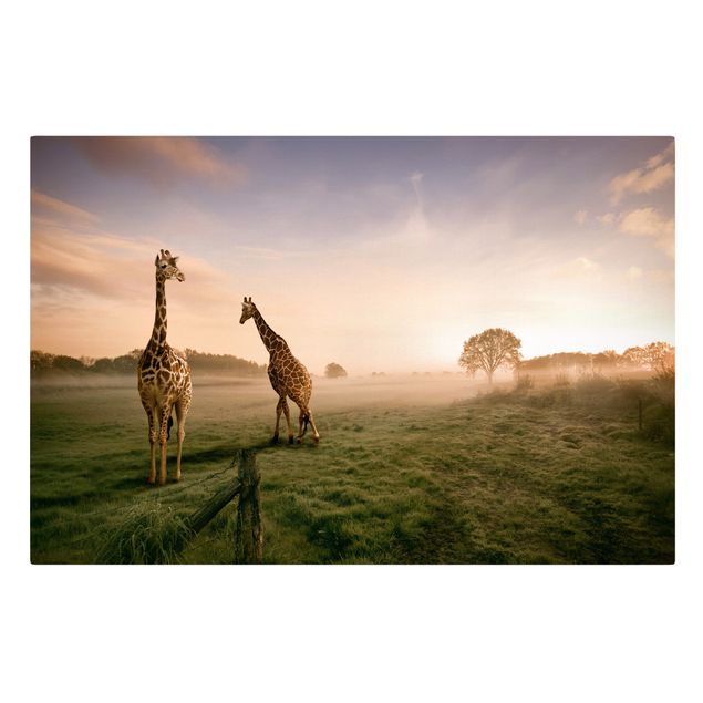 Quadri sulla natura Giraffe surreali