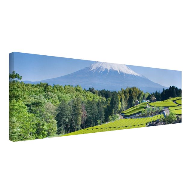 Quadri con alberi Campi di tè davanti al Fuji