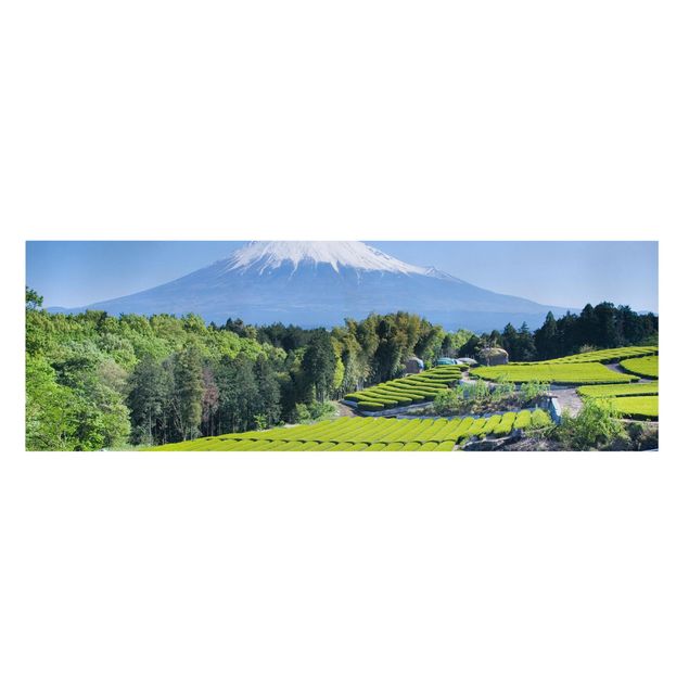 Quadro montagna Campi di tè davanti al Fuji