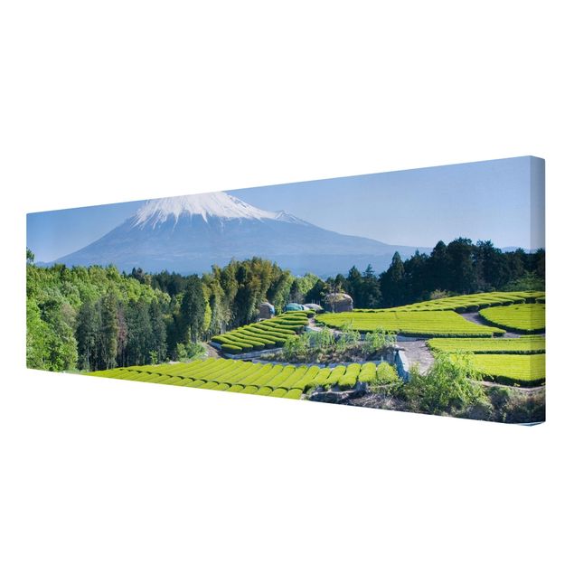 Quadri moderni per arredamento Campi di tè davanti al Fuji