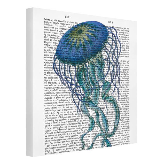 Quadro moderno blu Lettura con animali - Medusa