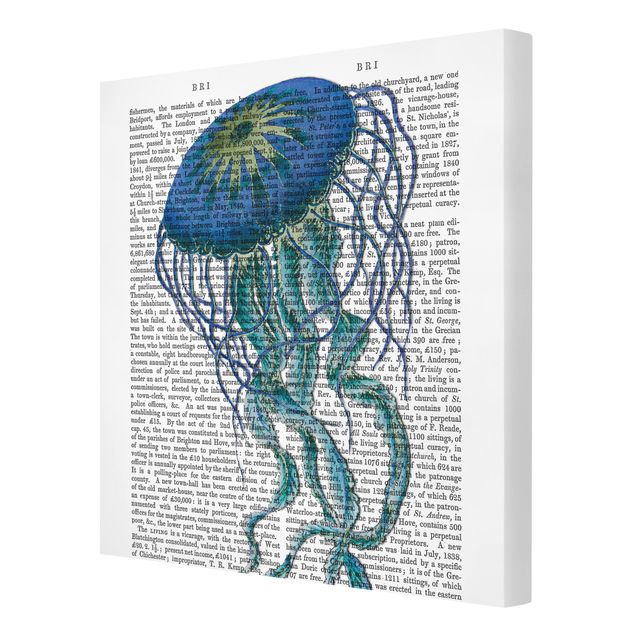 Quadri su tela Lettura con animali - Medusa