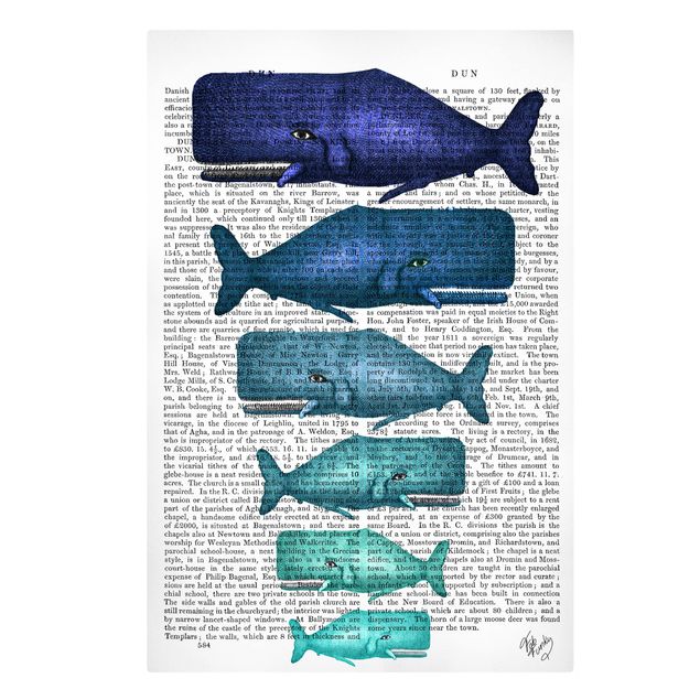 Quadri stampe Lettura con animali - Famiglia di balene