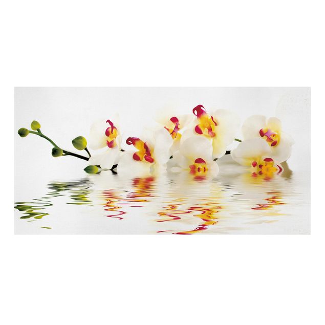 Quadri floreali moderni Acque vivaci di orchidee