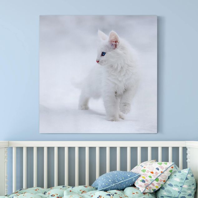 Quadri su tela con gatti Bianco come la neve