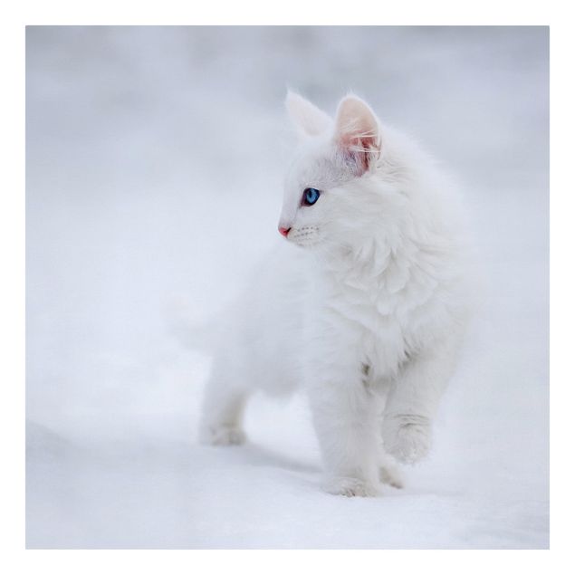 Quadri su tela animali Bianco come la neve