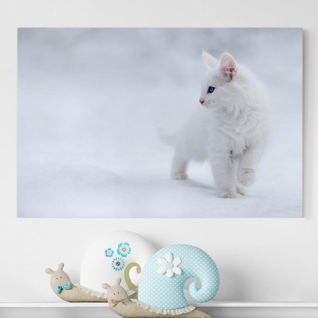 Quadri su tela con gatti Bianco come la neve