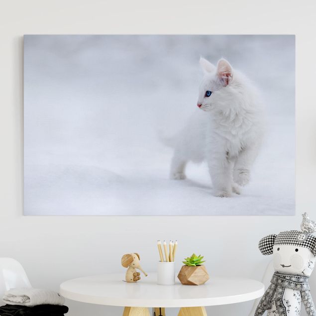 Quadri gatto Bianco come la neve