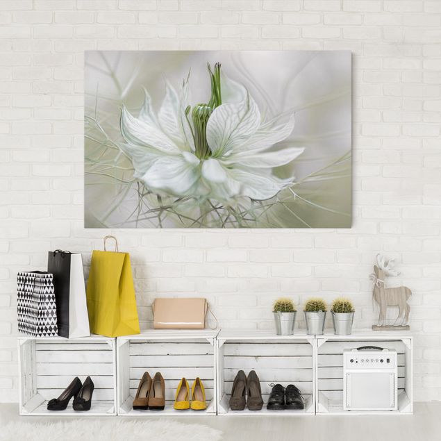 Quadri floreali moderni Nigella bianca