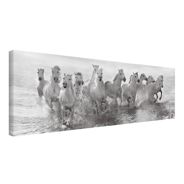 Quadri su tela con spiaggia Cavalli bianchi nell'oceano