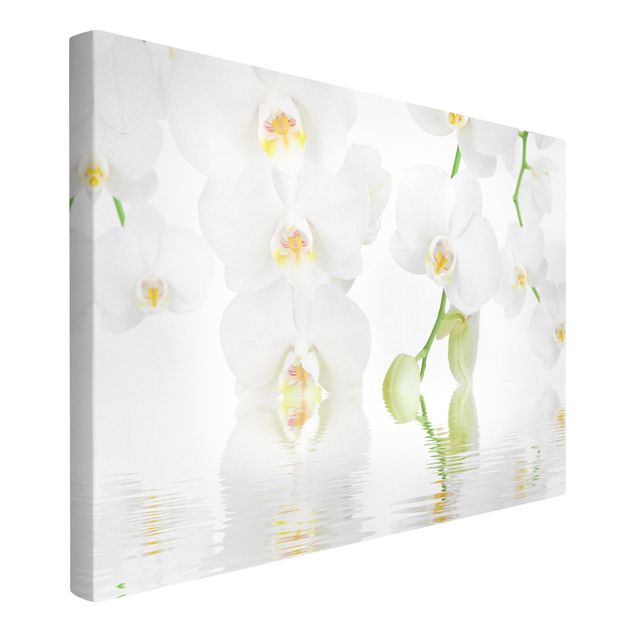 Quadri con fiori Orchidea Spa - Orchidea bianca