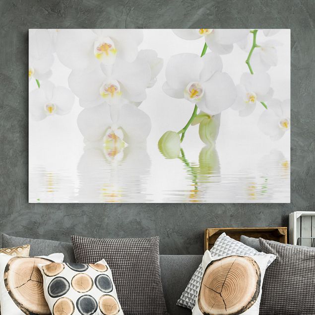 Quadri con orchidee Orchidea Spa - Orchidea bianca