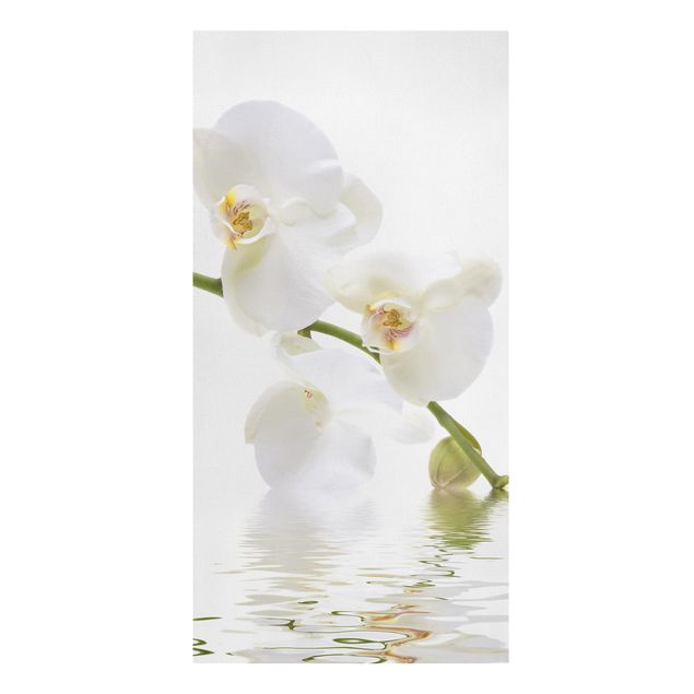 Quadri floreali Acque di orchidea bianca
