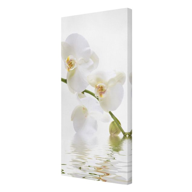 Stampe Acque di orchidea bianca