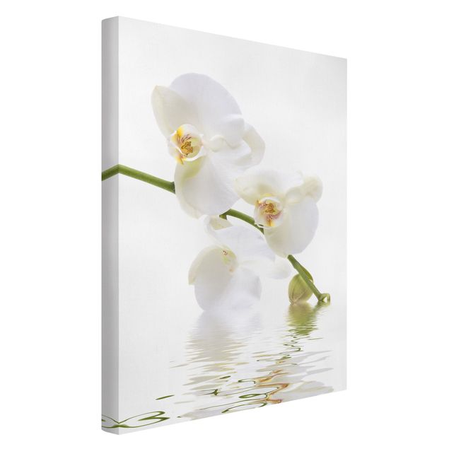Quadri fiori Acque di orchidea bianca