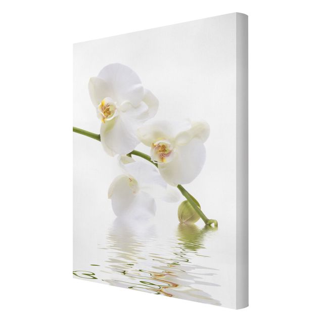 Quadri Acque di orchidea bianca