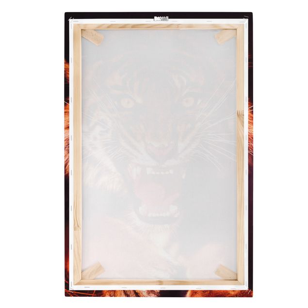 Stampe su tela animali Tigre selvaggia