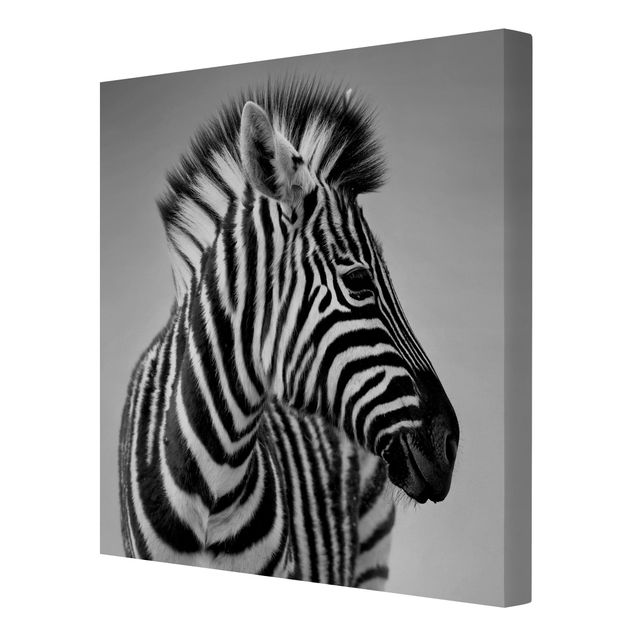Quadro animali Ritratto di piccola zebra II