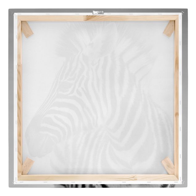 Quadri stampe Ritratto di piccola zebra II