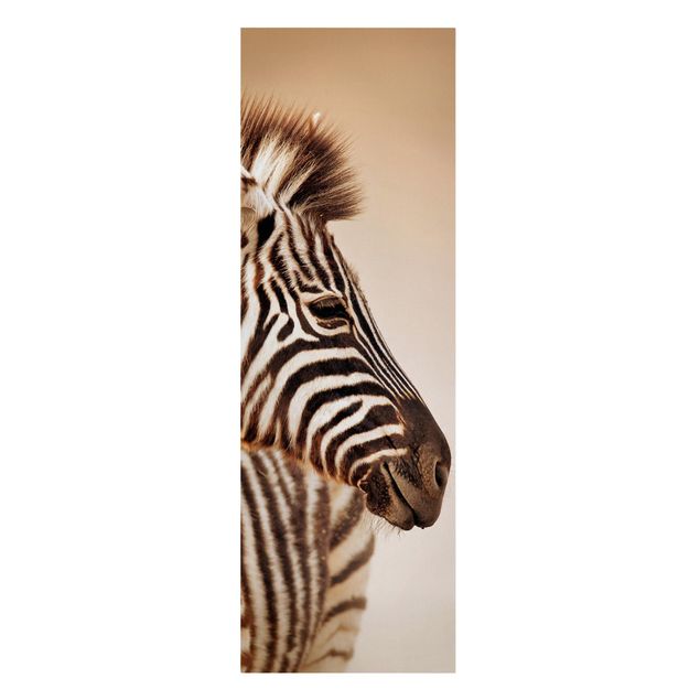 Quadro animali Ritratto di piccola zebra