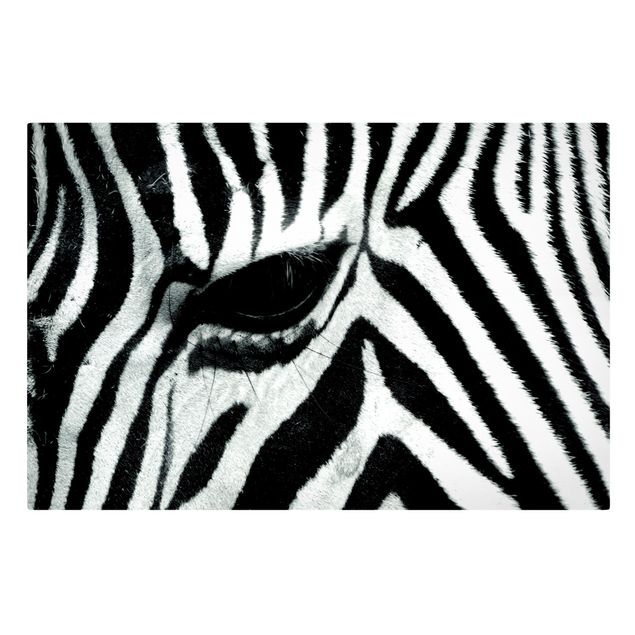 Quadri moderni   Zebra Crossing