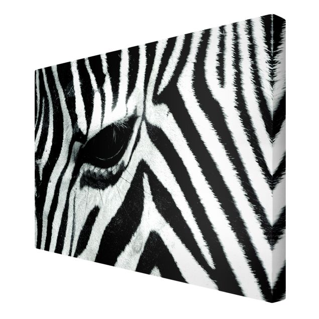Quadri bianco e nero Zebra Crossing