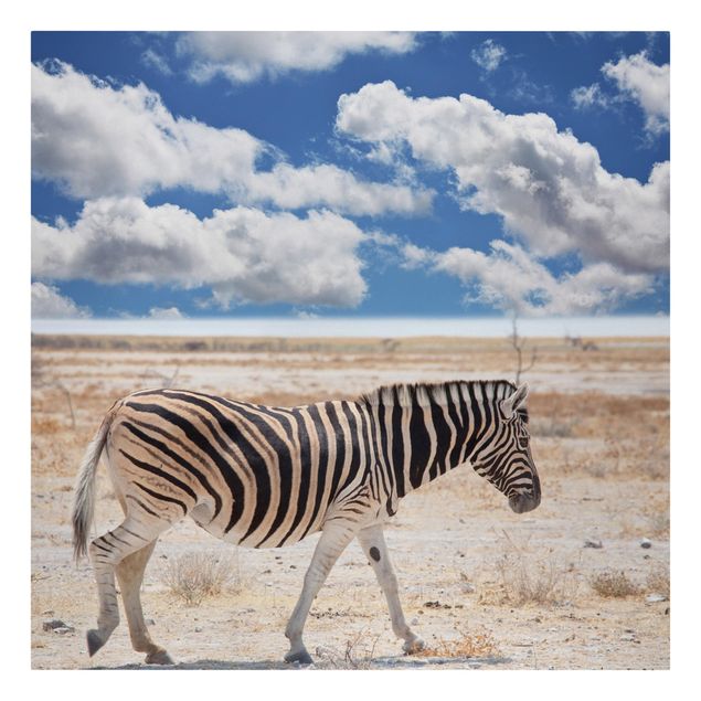 Quadro moderno Zebra nella savana