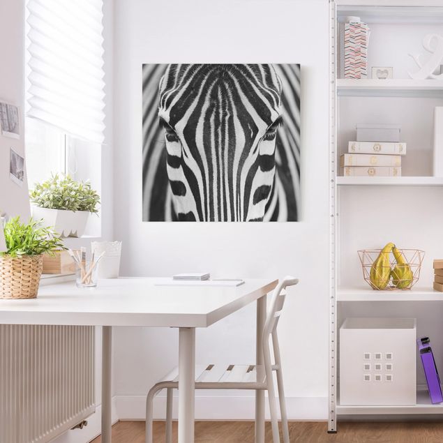 Quadri con zebre Sguardo da zebra