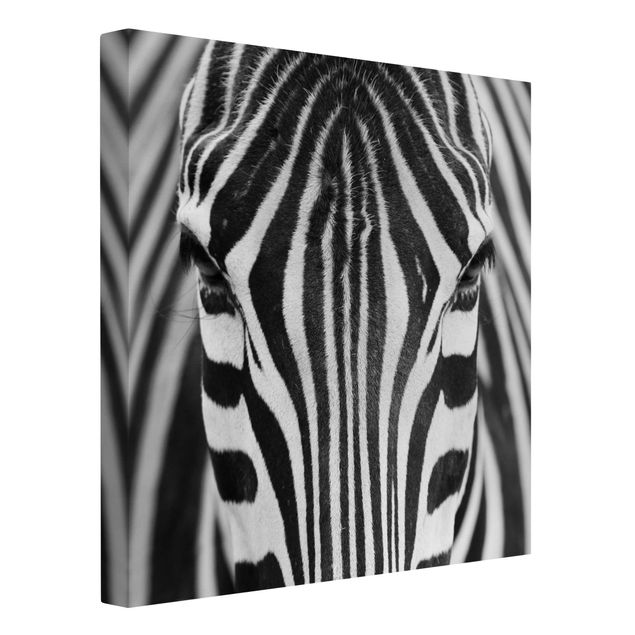 Quadri su tela con zebre Sguardo da zebra