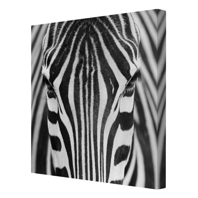 Quadri moderni bianco e nero Sguardo da zebra