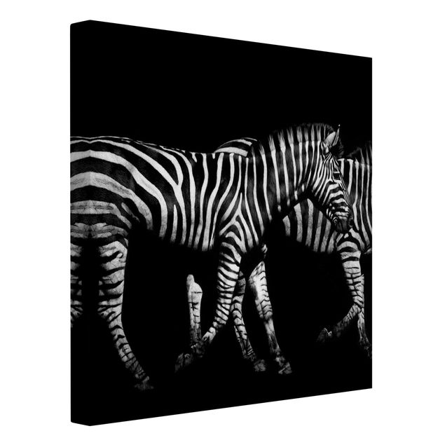 Quadri moderni bianco e nero Zebra nel buio