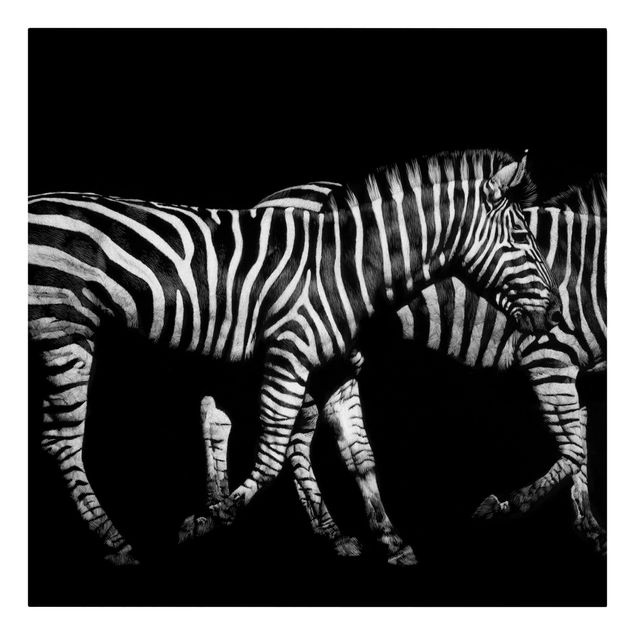 Quadro animali Zebra nel buio