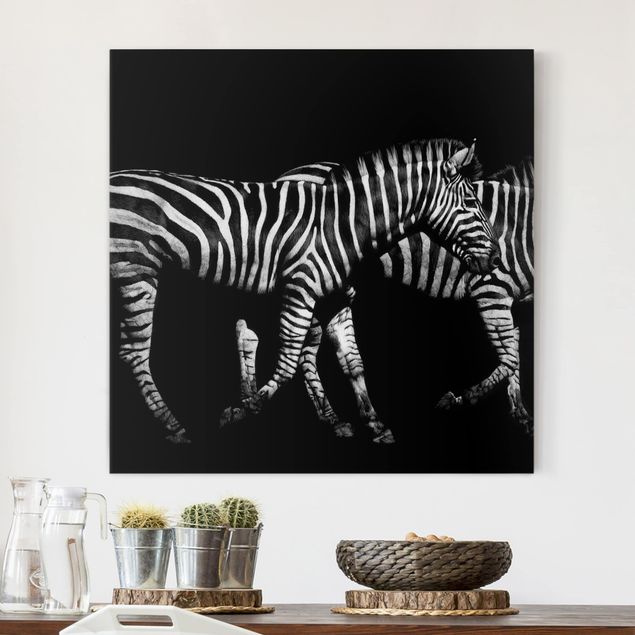 Quadri con zebre Zebra nel buio