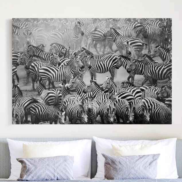 Quadri Africa Branco di zebre II