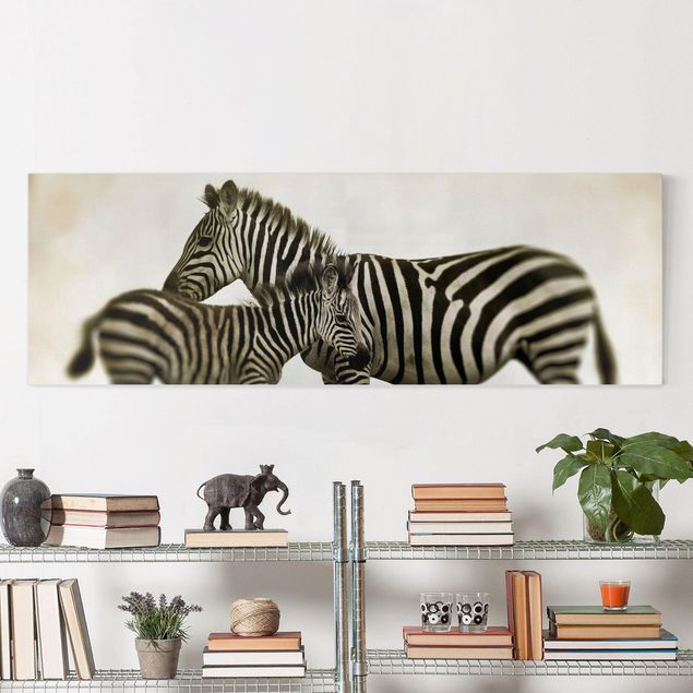 Quadro Africa Coppia di zebre