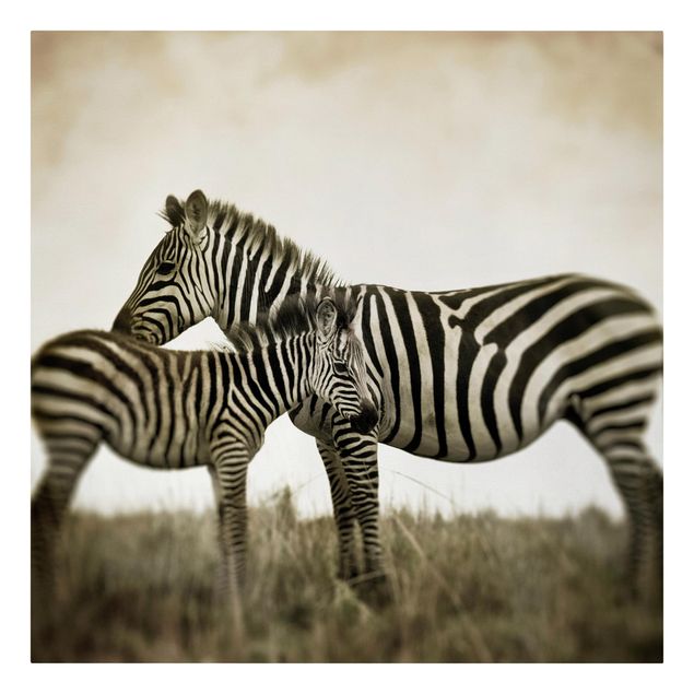 Quadri moderni bianco e nero Coppia di zebre
