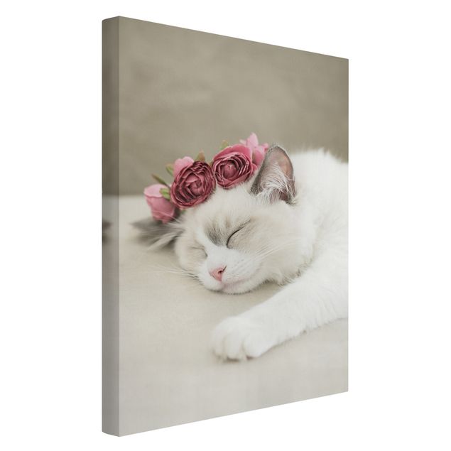 Quadri su tela con gatti Gatto addormentato con rose