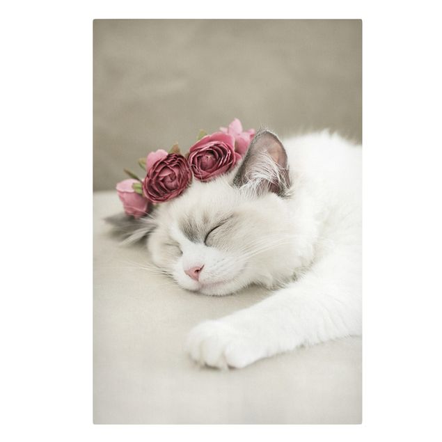 Quadri moderni per arredamento Gatto addormentato con rose