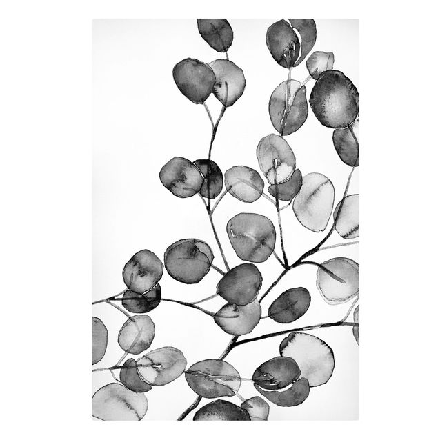 Quadri stampe Acquerello di ramoscelli di eucalipto in bianco e nero