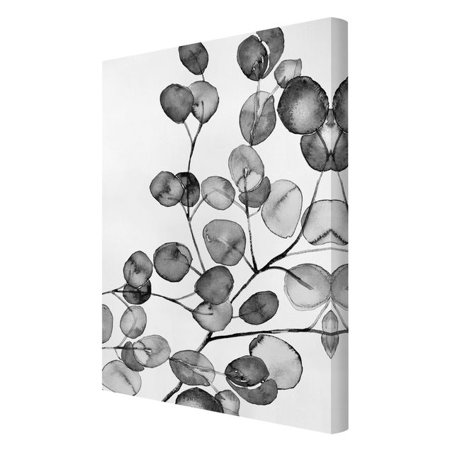 Quadri su tela Acquerello di ramoscelli di eucalipto in bianco e nero