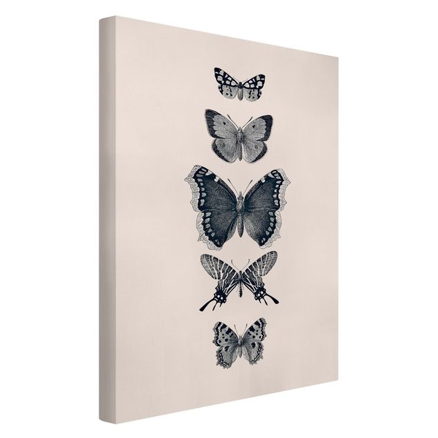 Quadro animali Farfalle d'inchiostro su sfondo beige