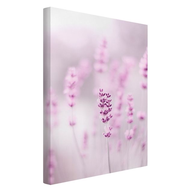Quadri di fiori Lavanda viola pallido
