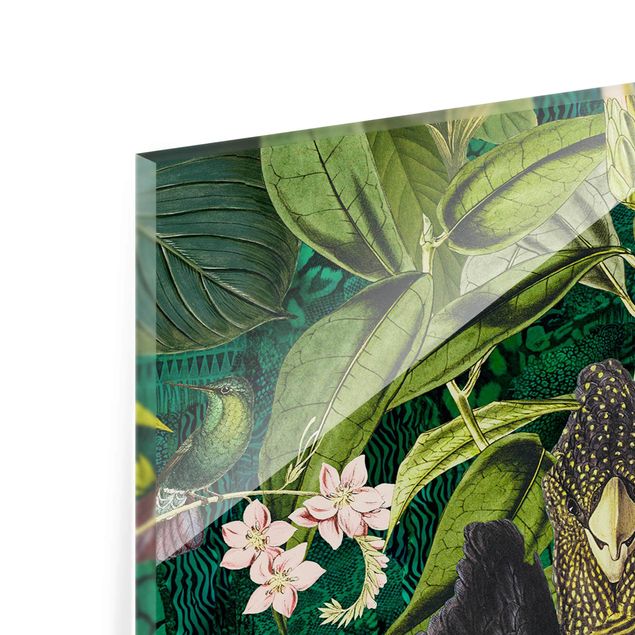 Quadri stampe Collage colorato - Cacatua nella giungla