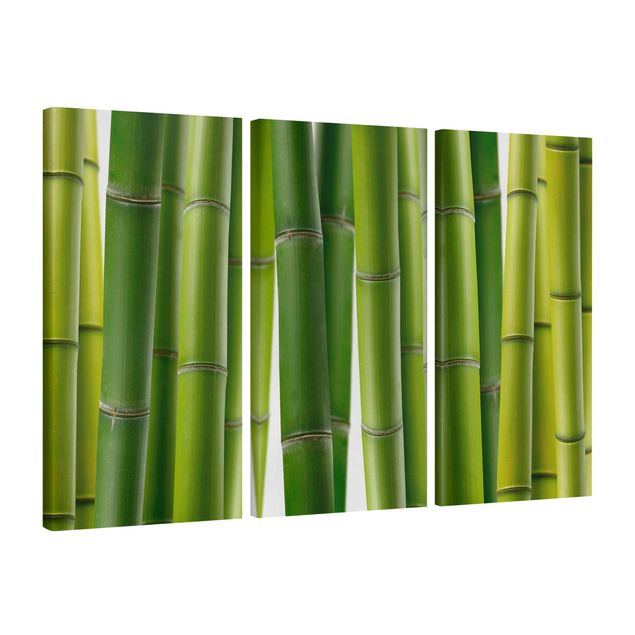 Quadri con alberi Piante di bambù
