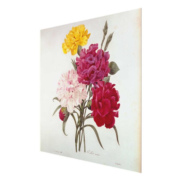 Quadri fiori Pierre Joseph Redoute - Chiodi di garofano