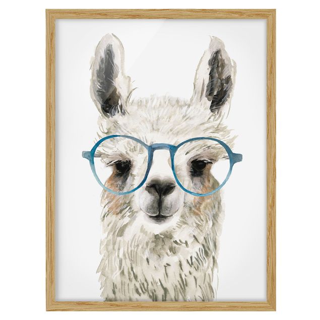 Quadro animali Hip Lama con occhiali III