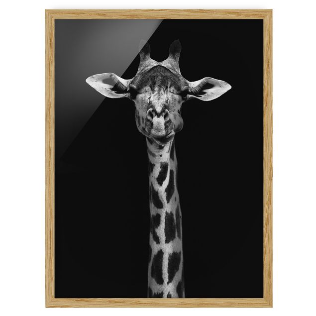Quadri con cornice con animali Ritratto di giraffa scura