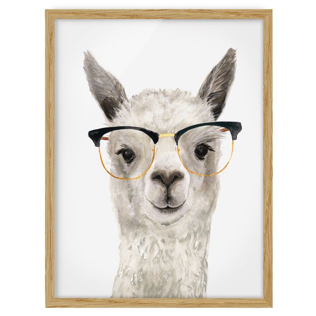 Quadri animali Hip Lama con occhiali I