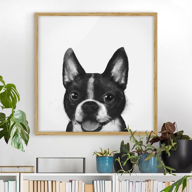 Quadri cani Illustrazione - Cane Boston Pittura Bianco e Nero